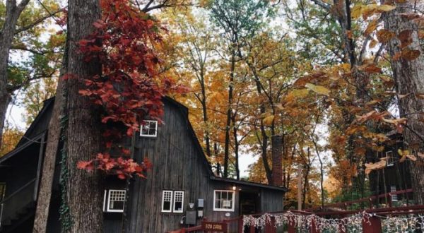 Explore An Intriguing Piece Of Kentucky History At This Hidden Gem In The Woods