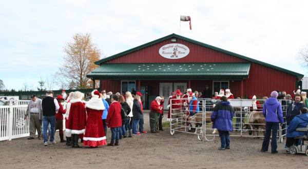 This Reindeer Farm In Michigan Will Positively Enchant You This Season