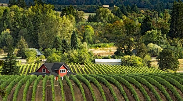 There’s No Better Time To Visit Portland’s Wineries Than In November – Here’s Why