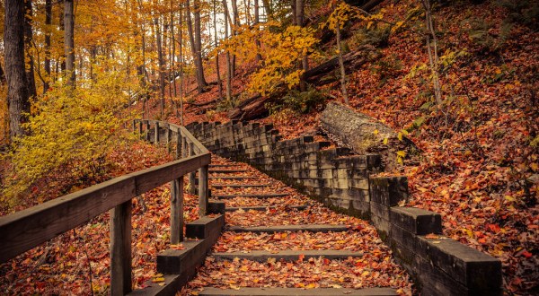 9 Trails In Cleveland You Must Take If You Love The Outdoors