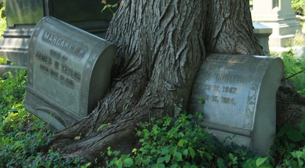 9 Staggering Photos Of An Abandoned Cemetery Hiding In Philadelphia