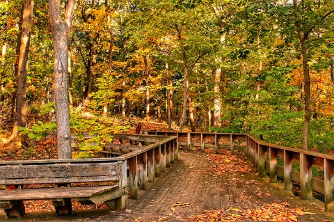 7 Of The Greatest Hiking Trails On Earth Are Right Here In Pittsburgh