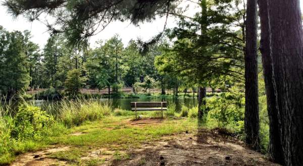 These 7 Secluded Parks In Louisiana Are A Nature Lover’s Paradise