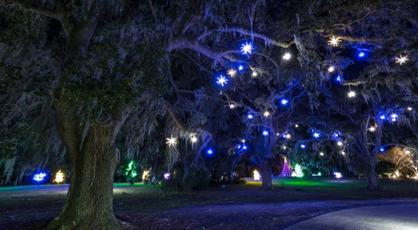 Take An Enchanting Winter Walk Through Airlie Gardens In North Carolina