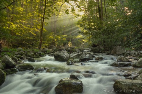 Virginia's Beautiful River Valley Will Make You Feel Like You're Inside A Dream