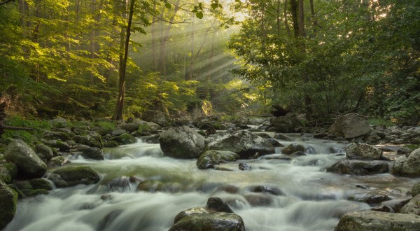 Virginia’s Beautiful River Valley Will Make You Feel Like You’re Inside A Dream