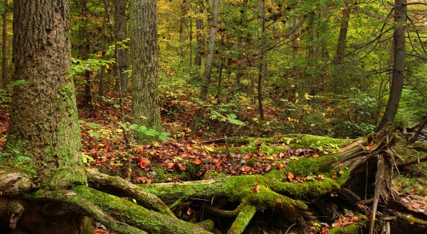 This Hidden Spot In Pennsylvania Is Unbelievably Beautiful And You’ll Want To Find It