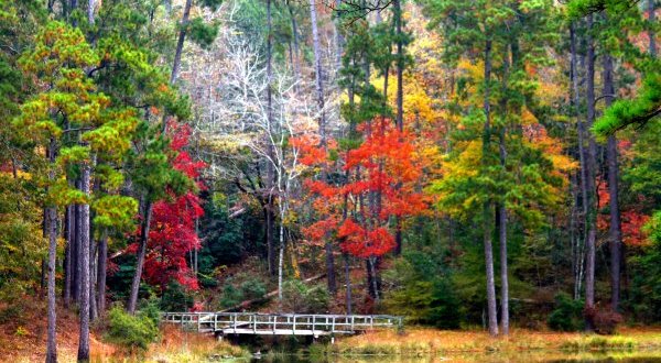10 Unimaginably Beautiful Places In Mississippi That You Must See Before You Die