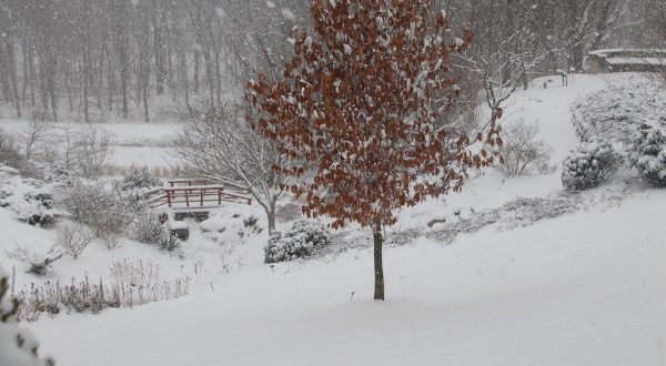 A Massive Blizzard Blanketed Indianapolis In Snow In 1978 And It Will Never Be Forgotten