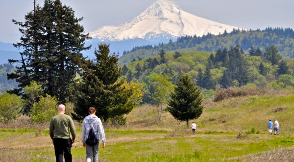 11 Of The Greatest Hiking Trails On Earth Are Right Here In Portland