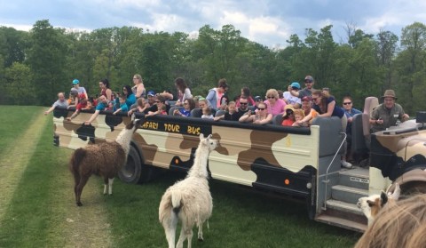 There’s A Wildlife Park In Pennsylvania That’s Perfect For A Family Day Trip