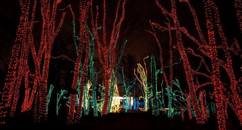 The Mesmerizing Christmas Display In Pennsylvania With 3 Million Glittering Lights