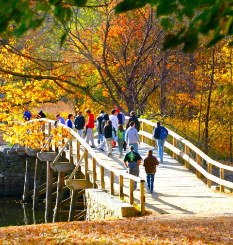 Take A Journey Through This One-Of-A-Kind Bridge Park In Massachusetts