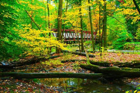 The Tranquil Nature Preserve Near Pittsburgh That's Perfect For A Day Trip