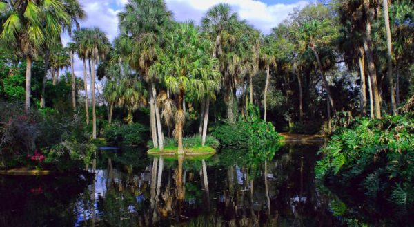 This Hidden Spot In Florida Is Unbelievably Beautiful And You’ll Want To Find It