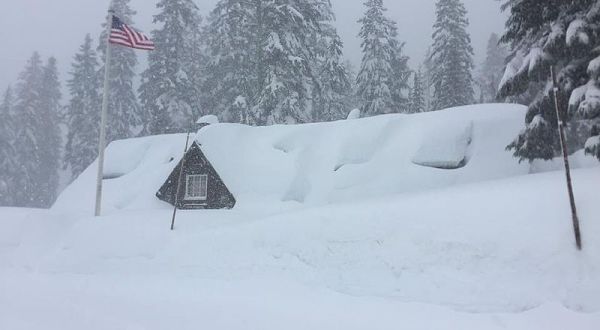 A Massive Blizzard Blanketed Oregon In Snow Last Year And It Will Never Be Forgotten