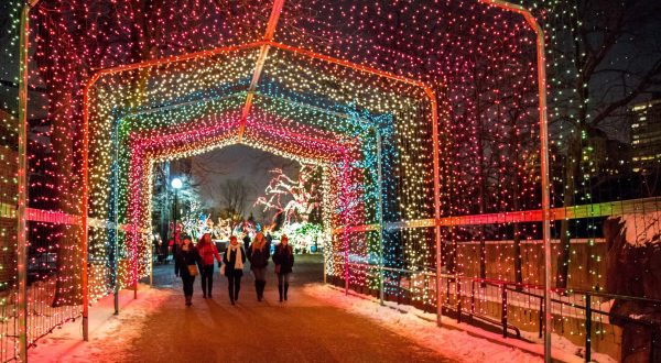 The Winter Walk In Chicago That Will Positively Enchant You