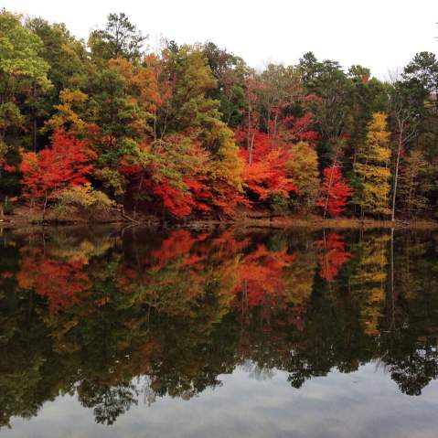 The One Hikeable Lake Near Charlotte That's Simply Breathtaking In The Fall