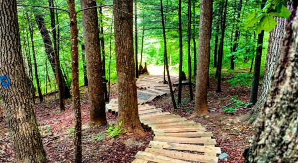 Virginia’s Magical Staircase Trail Through The Forest Will Enchant You In The Best Way