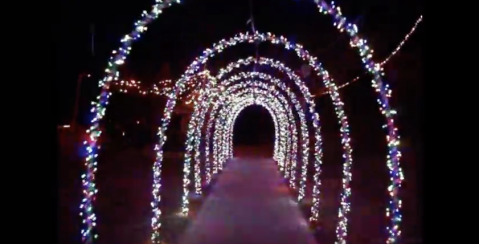 The Winter Walk In Louisiana That Will Positively Enchant You