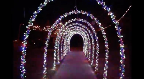 The Winter Walk In Louisiana That Will Positively Enchant You