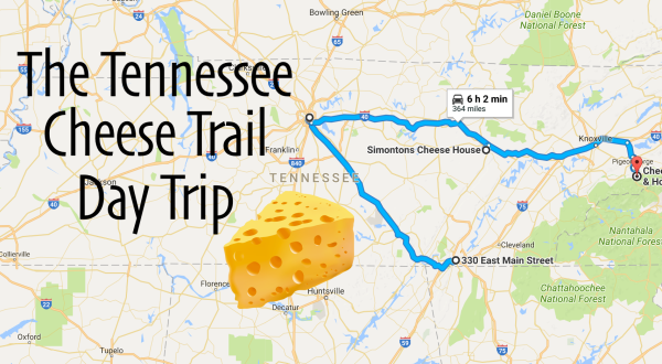 Take This Cheese Trail Through Tennessee For The Most Delicious Day Trip Ever