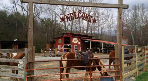 8 One-Of-A-Kind Dinner Adventures You Can Only Have In Georgia