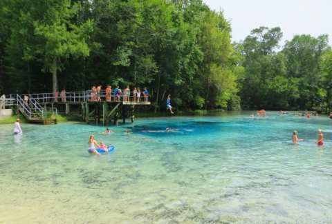 Gilchrist Blue Springs Is The Newest State Park In Florida And It's Incredible