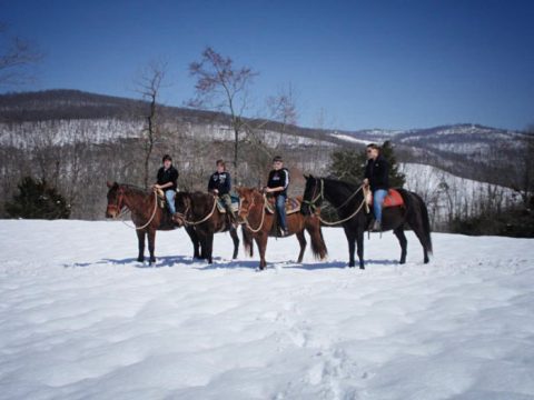 The Winter Horseback Riding Trail In Arkansas That's Pure Magic