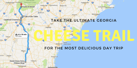 Take This Cheese Trail Through Georgia For The Most Delicious Day Trip Ever