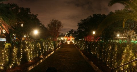 The Winter Walk In New Orleans That Will Positively Enchant You