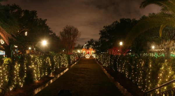 The Winter Walk In New Orleans That Will Positively Enchant You