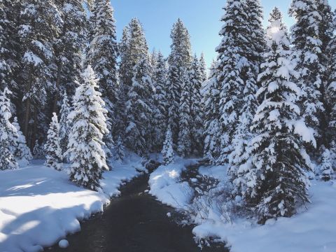 Bundle Up: These 8 Montana Trails Are Open All Year, And They're Magnificent