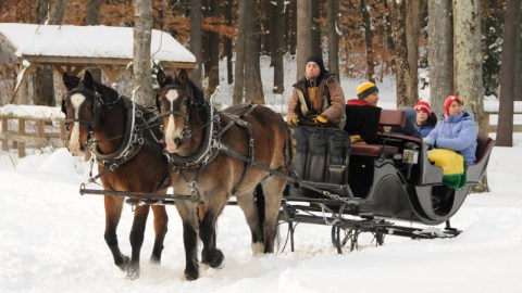 You'll Adore This New Hampshire Farm At Christmas Time. It's Absolutely Magical.