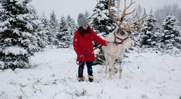 This Reindeer Farm In Indiana Will Positively Enchant You This Season