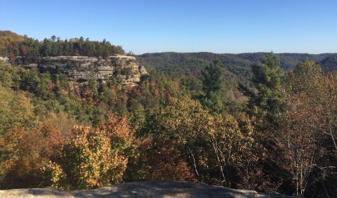 The Absurdly Beautiful Hike In Kentucky That Will Make You Feel At One With Nature