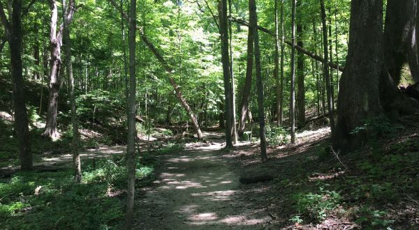 7 Incredible Hikes Under 5 Miles Everyone Around Indianapolis Should Take