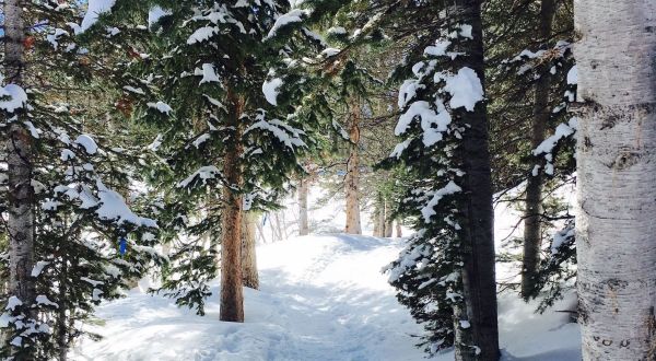 The Absurdly Beautiful Winter Hike In Utah That Will Make You Feel At One With Nature