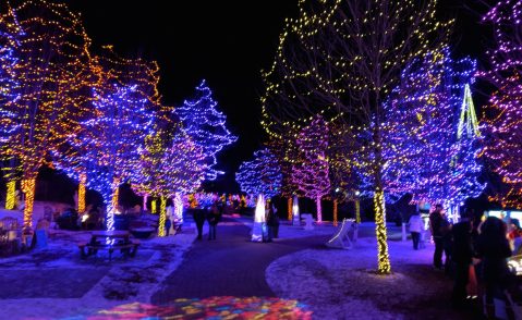 The Garden Walk That Lights Up In A Magical Way Every Winter