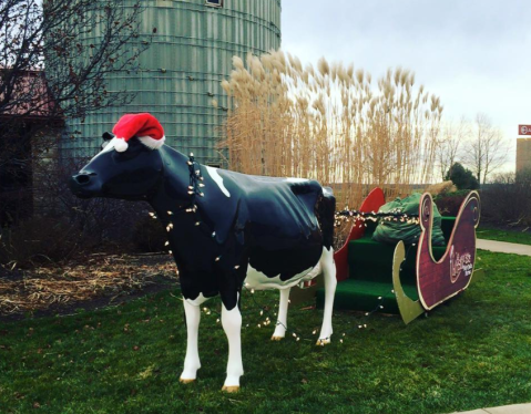 This Christmas Farm In Indiana Will Positively Enchant You This Season