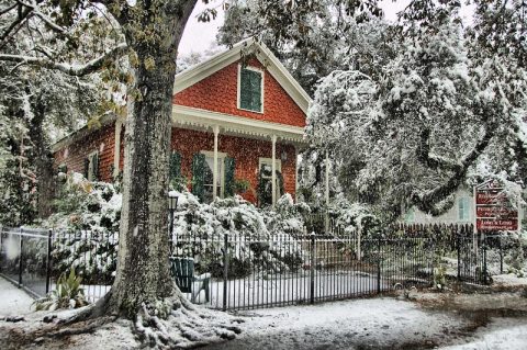 7 Things No One Tells You About Surviving A Louisiana Winter