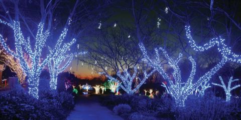 The Winter Walk In DC That Will Positively Enchant You