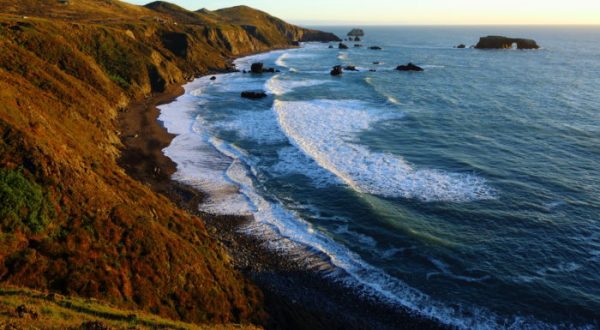 8 Silly Sayings That Will Only Make Sense If You’re From Northern California