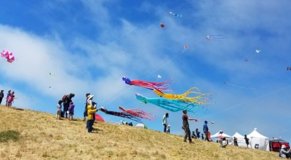 This Incredible Kite Festival In Northern California Is A Must-See