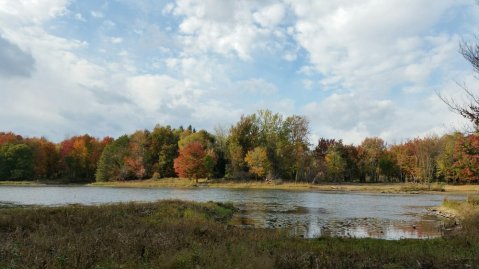 The One Hikeable Lake Near Buffalo That's Simply Breathtaking In The Fall
