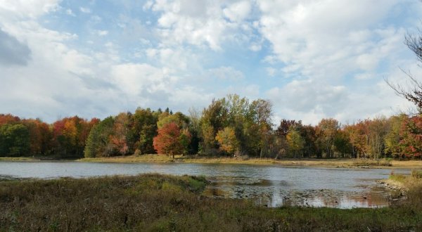 The One Hikeable Lake Near Buffalo That’s Simply Breathtaking In The Fall