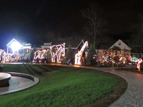 Take An Enchanting Winter Walk Through Turtle Back Zoo's Holiday Lights In New Jersey