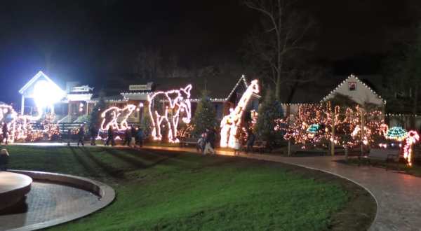 Take An Enchanting Winter Walk Through Turtle Back Zoo’s Holiday Lights In New Jersey