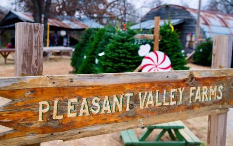 This Christmas Farm In Oklahoma Will Positively Enchant You This Season