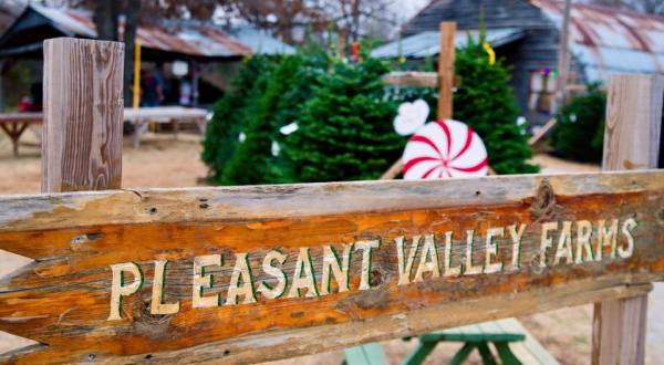 This Christmas Farm In Oklahoma Will Positively Enchant You This Season